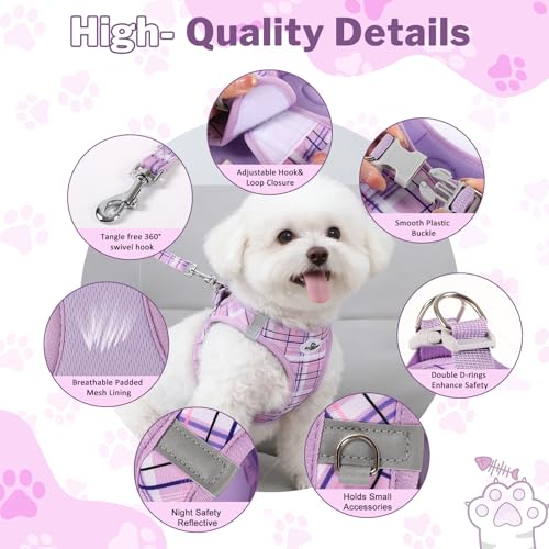Gyuzh Dog Harness and Leash Set for Puppies - 3 Piece Step in No Pull Vest & Collar, Extra Small Kitten Harness, Breathabl...