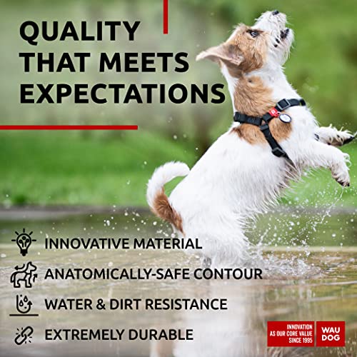 WAUDOG Waterproof Dog Harness and Leash 6 Ft Set - Adjustable, Heavy Duty with Durable Metal Clasp and QR Dog Tag