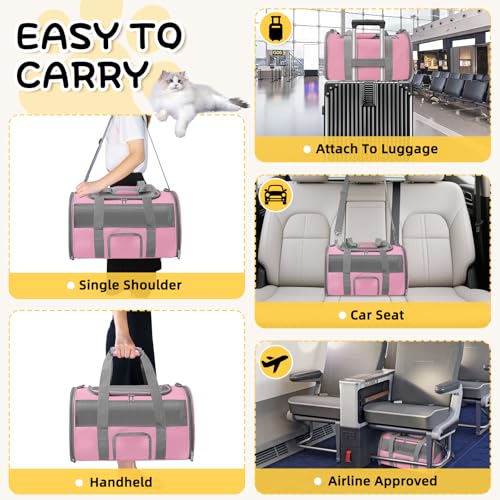 Seclato Soft Side Cat Carrier Airline Approved for Puppy Kitten Dog Carriers for Small Medium Cats Under 15lb, Collapsible...