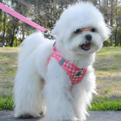Soft Mesh Dog Harness and Leash Set, Step-in Escape Proof Vest Harnesses, Reflective Breathable Pet Harness Adjustable Pla...