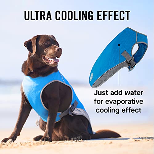 Canada Pooch Dog Cooling Vest - Evaporative Cooling Vest for Dogs with Breathable Mesh Material & Reflective Lining, Adjus...