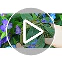 Hommyea Artificial Flowers for Outdoor, 2 Bundles UV Resistant Fake Plants Decoration Realistic Faux Silk Flowers No Fade ...