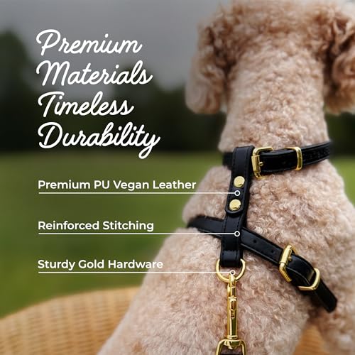Luxury No Pull Dog Harness and Leash Set, PU Leather Escape-Proof Design, Anti-Choke Comfort, Front/Back Attachment, Essen...