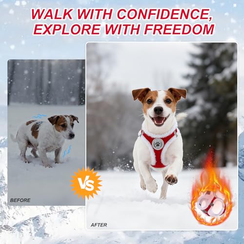 BEAUTYZOO Plush Dog Harness for Small Dogs, No Pull Dog Harness and Leash Set, Soft Fleece Escape Proof Puppy Vest Harness...