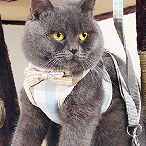 Puppy Harness and Leash Set for Walking Escape Proof Adjustable Soft Padded Mesh Front Vest Harness with Leash and Cute Bo...