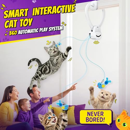 Interactive Cat Toys for Indoor Cats: Automatic Flying Bird Feather Wand Chase Exercise Enrichment Stimulation, USB Rechar...