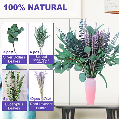 52 PCS Mix Dried Eucalyptus & Lavender Flowers Bundles for Shower, 17'' Natural Real Hanging Silver Dollar Eucalyptus Leav...