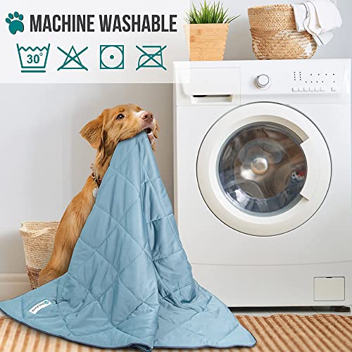 PetAmi Premium Cooling Dog Blanket | Lightweight Fluffy Pet Throw Blanket Bed Cover for Dogs, Cat, Puppies | Pet Blanket F...