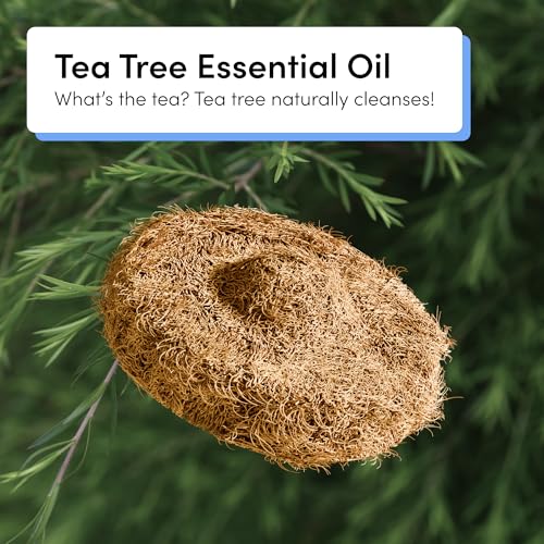 TUSHY Tea Tree Coconut Husk Scrubbing Pads Refill. Planet Friendly Cleanser-Infused Pads, No Toilet Bowl Cleaner Needed. (...