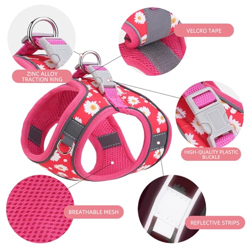 Step in Dog Harness and Leash Set, Flower Adjustable Easy Walk Puppy Harnesses, Soft Mesh Pet Vest Harness Small Size Dog ...