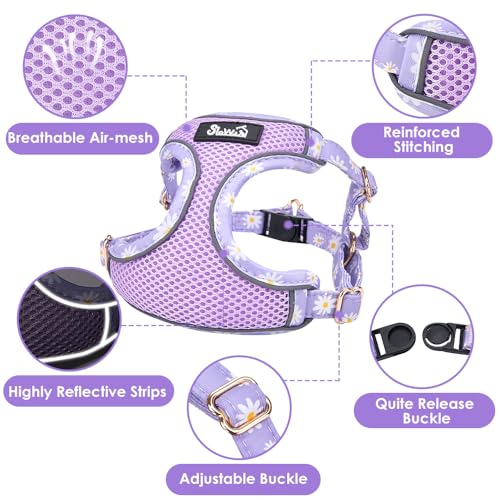 Lukovee No Pull Puppy Harness and Leash Set - Soft Lightweight Escape Proof Puppy Vest Harness, Breathable Adjustable Pet ...
