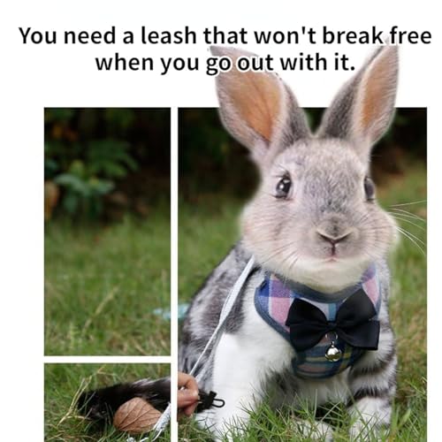 Pet Harness,Rabbit Harness and Leash Set, Cute Mesh Breathable Pet Vest Outdoor Camping Hiking Training, Bunny Jacket for ...
