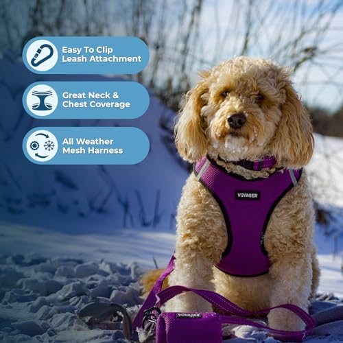 Best Pet Supplies Voyager Step-in Air Harness - All Weather Mesh, Reflective, No Pull Harness for Dogs, Cats - Secure with...