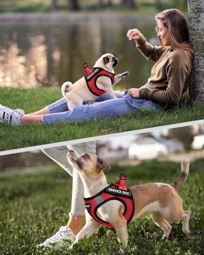 FAYOGOO Service Dog Vest for Small Dogs - Lightweight Dog Harness with 6PCS Removable Patches - Puppy Harness and Leash Se...