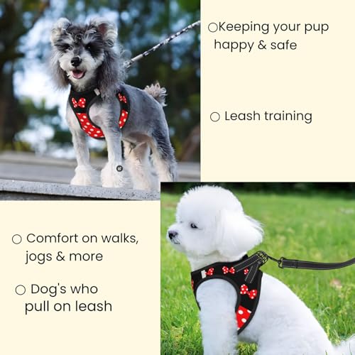 Red Black Polka Dot Bow No Pull Dog Harness and Leash Set, Reflective Vest for Small Dogs Adjustable, Cute Breathable Mesh...