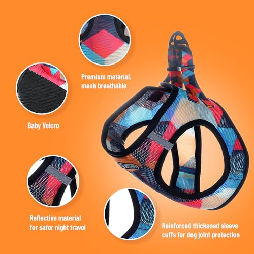 EVERKING Breathable Mesh No-Pull Dog Harness & Leash Set for Small Dogs, Reflective Trim for Safety – Comfortable Vest Des...