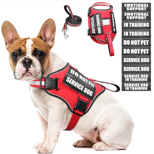 Service Dog Harness and Leash Set, Training Dog Vest with 10 Dog Patches, Emotional Support Therapy Dog Vest Harness for S...