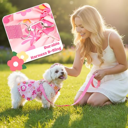 BAOBICUTE Dog Dress Harness Dresses Leash Set for Small Dogs Cute Girl Dog Clothes with Bowknot Puppy Outfits for Shih Tzu...