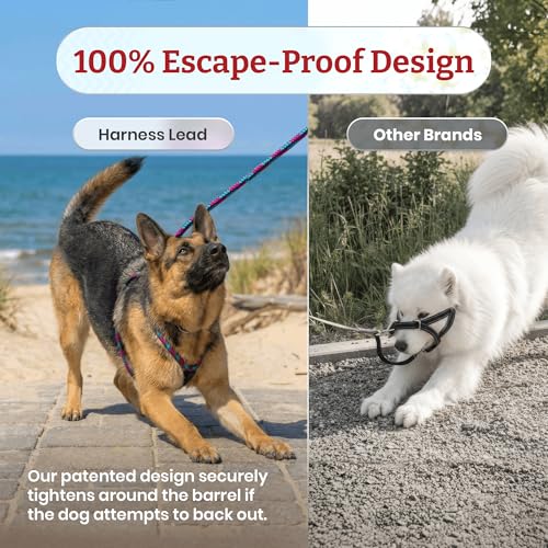 Harness Lead No Pull Dog Harness and Leash Set, Anti Pull Dog Harness for All Breeds and Sizes, One-Piece Cushioned Rope D...