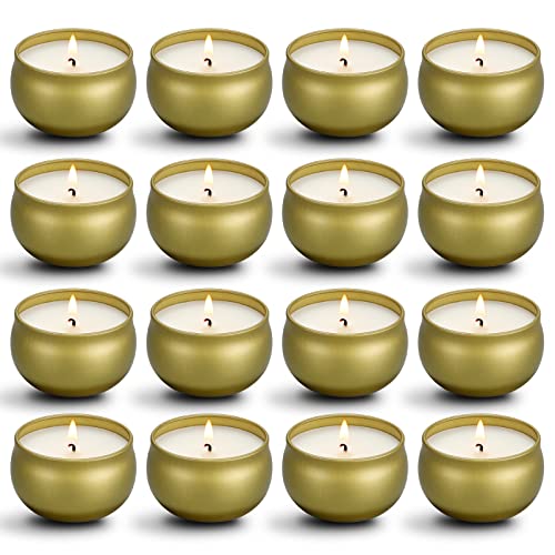 qinxiang Scented Candles Gifts Set,16 Pack Natural Soy Wax Travel Tin Jar Candles for 2.5 OZ Aromatherapy Candles for Fami...