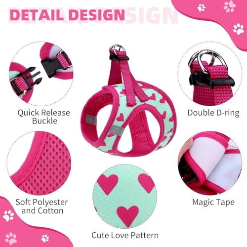 KOOLTAIL Valentines Dog Harness and Leash Set for Small Medium Dogs, Step in No Pull Soft Mesh Dog Harness Padded Pet Ves...
