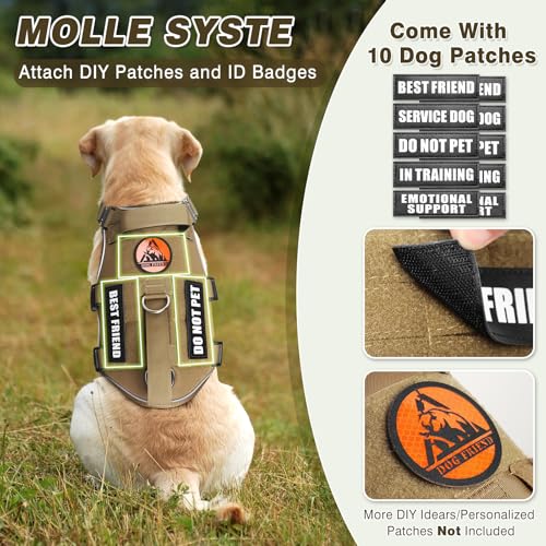 MOOGROU Service Dog Vest and Leash Set,Heavy Duty Tactical Dog Harness with Metal Buckles for Large Dogs,Adjustable No-Pul...