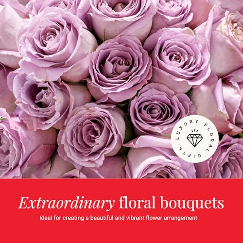 BloomsyBox - Lavender Roses - 24 Long Stems,Long Lasting, Hand-Tied in Eco-friendly, Vase Not Included, Fresh Flowers for ...