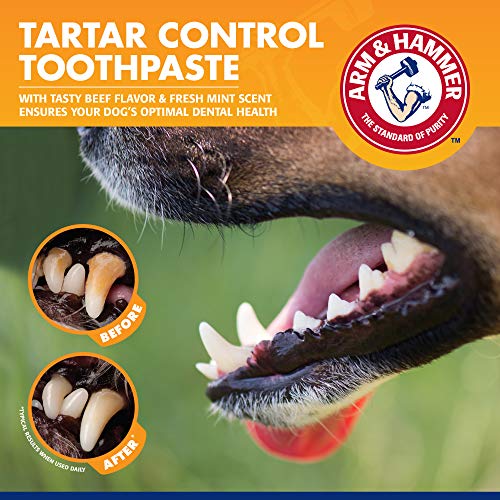 Arm & Hammer for Pets Tartar Control Dog Dental Kit, Enzymatic Toothpaste with Toothbrush and Fingerbrush, Baking Soda For...