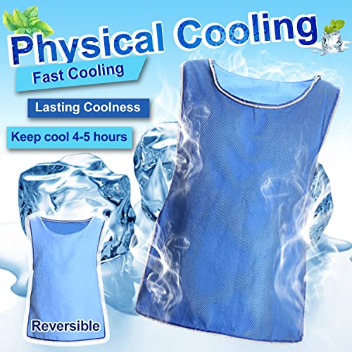 HUOFU Evaporative Ice Cooling Vest for Men - Body Cold Jacket for Women MS Motorcycle Sport Working for Hot Summer Weather...