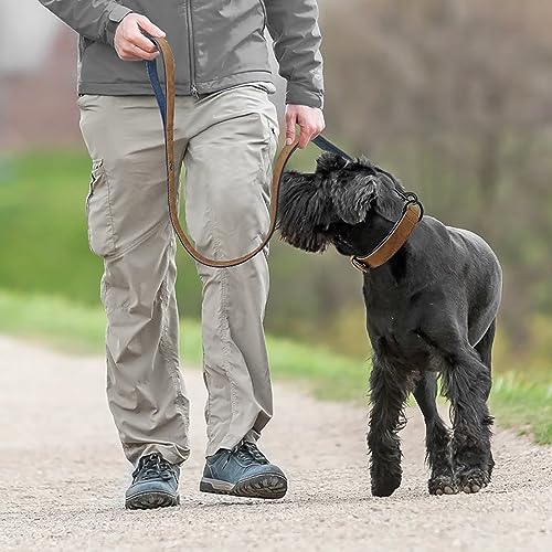 Didog Soft Padded Leather Dog Collar and Leash Set, Adjustable Dog Leash and Collar Set with Metal Buckle, Breathable Dog ...