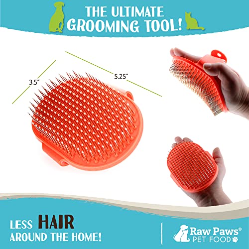 Raw Paws Grooming Brush, 1 ct - Hand-Held Rubber Tipped Pin Brush for Dogs & Cats - Deshedding Dogs with Short Hair & Long...