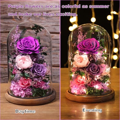 lovenfold Flowers for Delivery Preserved Flowers Rose in Glass Dome,Purple Rose Forever Flowers Birthday Gifts for Women M...