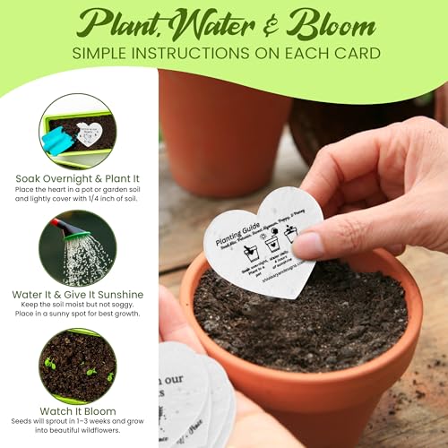 50 Plantable Seed Paper Funeral Favors for Guests - Handmade Seed Cards with Wildflower Seeds for Celebration of Life Even...