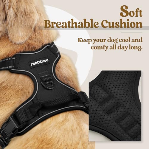 rabbitgoo Dog Harness No Pull with 2 Leash Clips, Adjustable Soft Padded, Reflective Oxford No Choke Pet Vest with Easy Co...