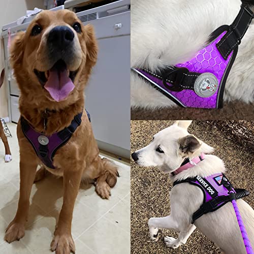 Cymiler Service Dog Vest,No-Pull Dog Harness and Leash Set,Adjustable Oxford Reflective Service Dog Vest Harness with Hand...