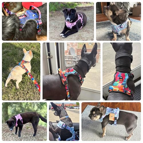BEAUTYZOO No Pull Dog Harness and Leash Set with 2 Metal Leash Clips - Overhead-Free 3 Snap Buckles Design, Adjustable No-...