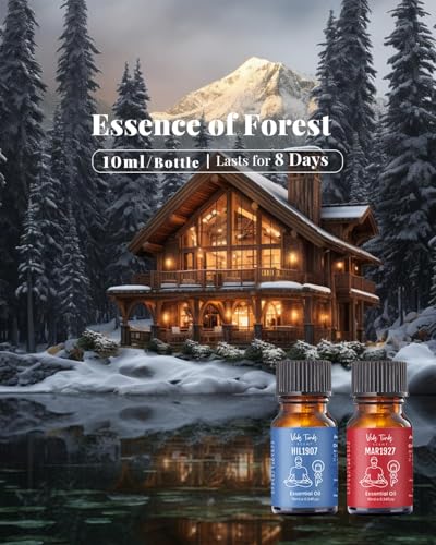 VTS Waterless Diffuser with Hotel Scent Essential Oils Set, Top 6 Aromatherapy Oil Blends for Diffusers, Home Fragrance Ai...