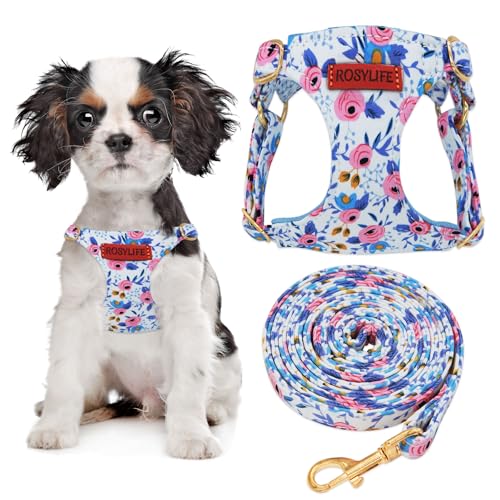 No Pull Dog Harness Adjustable Small Dog Harness and Leash Set, Lightweight and Soft Dog Harness No Choke Escape Proof Pet...