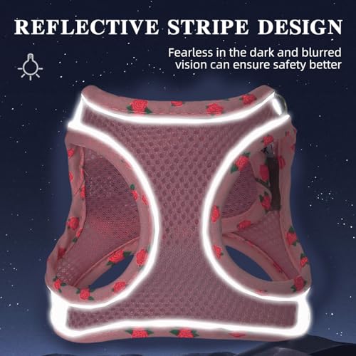 Petank Dog Harness for Small Medium Dogs No Pull, Puppy Harness and Leash Set, Mesh Adjustable Breathable Light Vest for W...
