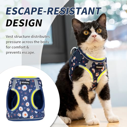 Arblina Soft Mesh Cat Harness and Leash Set for Walking,Escape Proof No Choke Step in Kitten Vest Harness,Reflective Ajust...