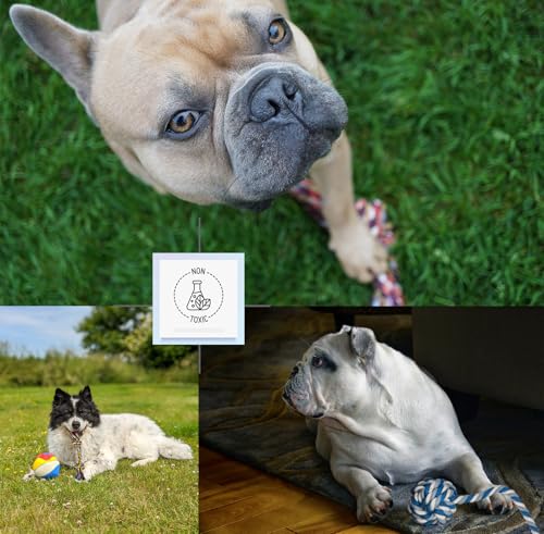 Jastorfer 16 Pcs Small Dog Rope Toys, Puppy Tug of War Toy Set for Small Breeds 0-15 Lbs, Cotton Dog Tug Toys for Boredom,...