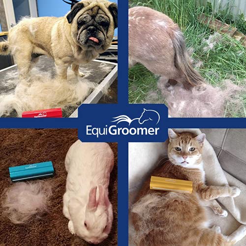 EasyGroomer Deshedding Brush for Dogs & Cats – Undercoat Grooming Tool for Short & Long Hair, Removes Loose Fur & Dirt, Re...