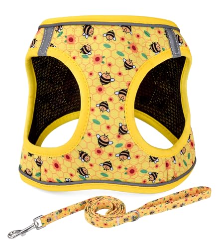 Mihqy Step in Dog Harness and Leash Set, Reflective Adjustable No Pull Dog Harness for Extra-Small/Small Dogs Puppy and Ca...