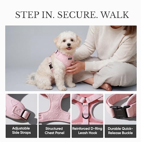 JoyCrafted-FBL No Pull Dog Harness & Leash Set | Lightweight Breathable Neoprene, Cute Heart Pattern, Adjustable Step-In V...