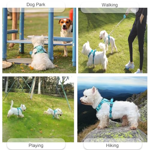 Dog Harness for Small Dogs up to 16lbs, 3-in-1 No Pull Lightweight Harness with 6.6ft Retractable,Wearable Leash Set,Front...