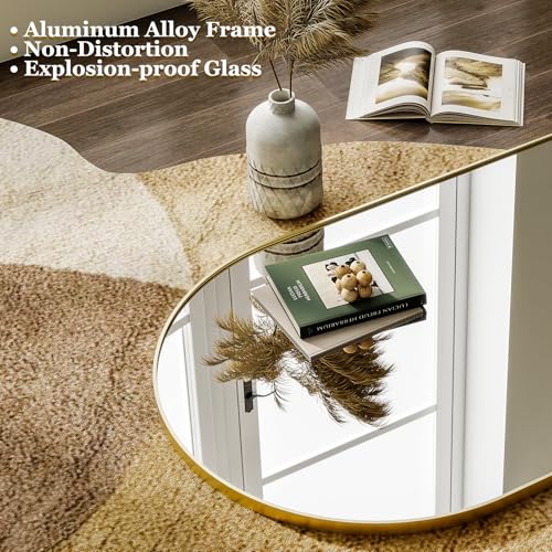 HARRITPURE 64"x21" Arched Full Length Mirror Free Standing Leaning Hanging Mounted Mirror Aluminum Frame Modern Simple Hom...