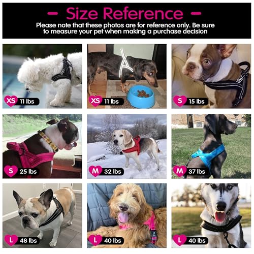 Didog No Pull Dog Harness with Breathable Mesh Padded, Full Reflective & Quick Fit Adjustable Vest Harness, Easy for Train...