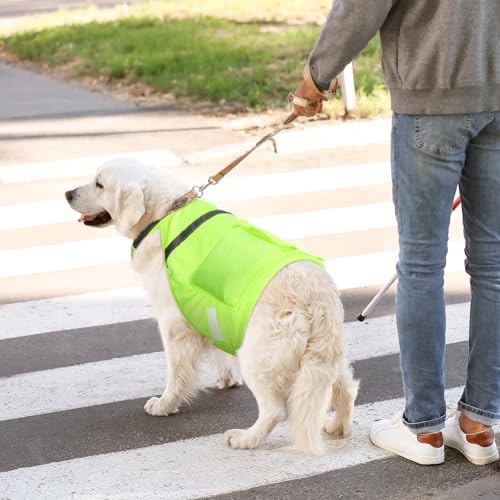Aliceset 2 Pcs Dog Cooling Vest with 4 Recyclable Ice Pack Summer Outdoor Dog Cooling Harness Pet Adjustable Jacket Coole...