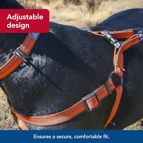 Coastal Pet K9 Explorer Reflective Adjustable Padded Dog Harness - Plush Chest Pad for Comfort - No-Pull Dog Harness for S...