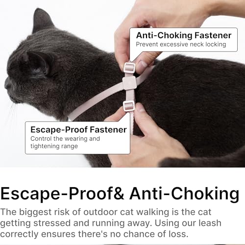 BuddyArmor Cat Harness and Leash 2-in-1, Escape Proof Anti-Chocking Harness Adjustable Lighweight Leash for Walking Outoor...